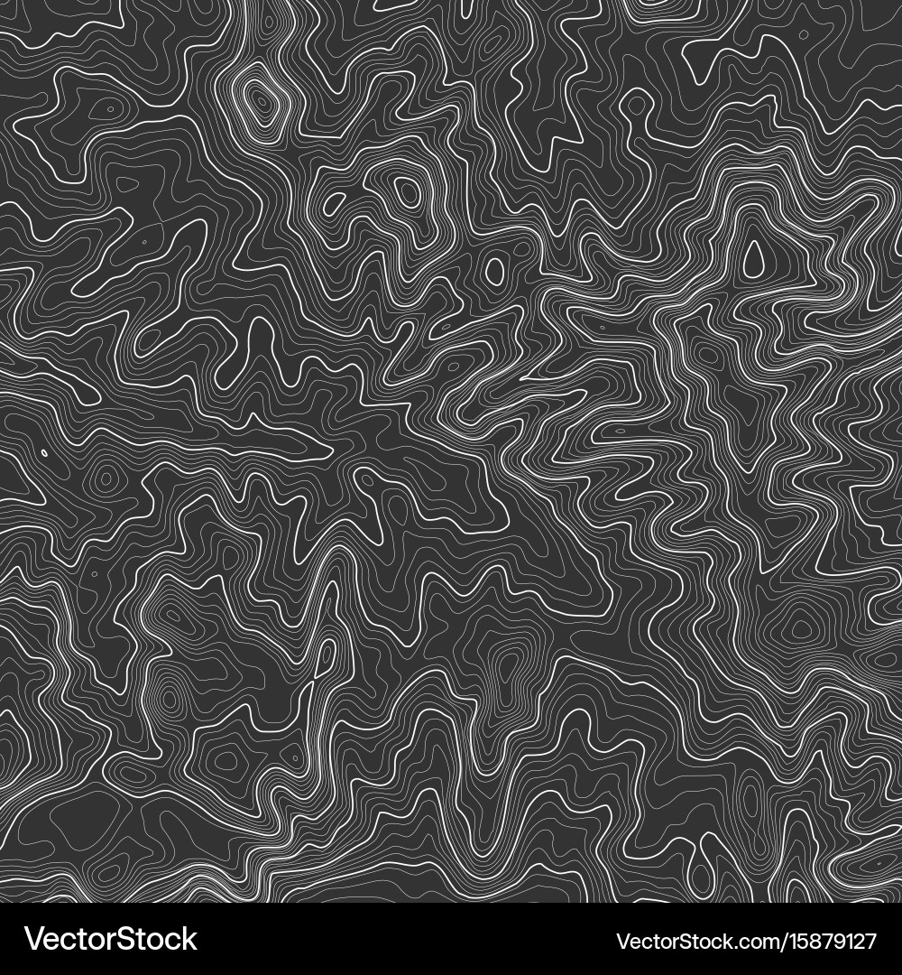 Topographic map background with space for copy Vector Image
