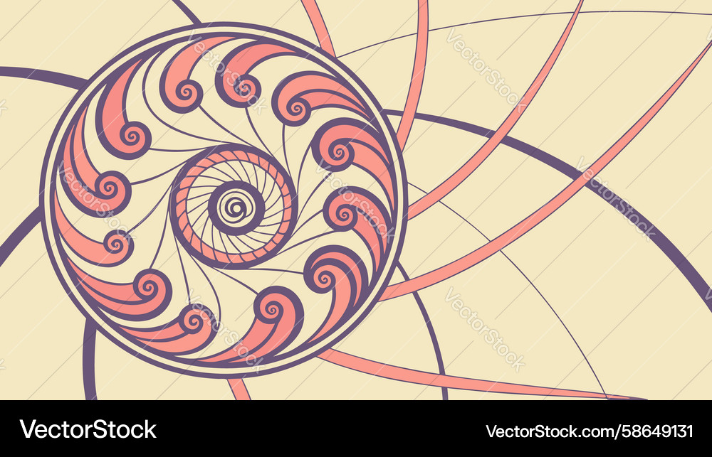 Stylized snail shell spiral pattern abstract Vector Image
