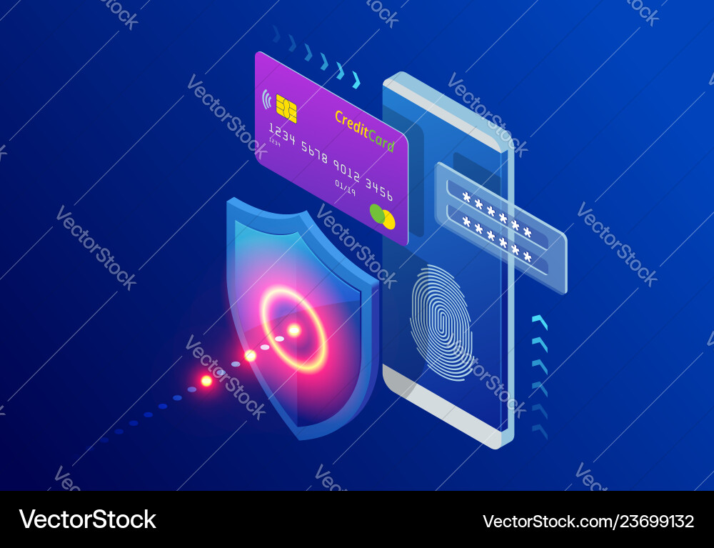 Isometric Network Security Vector Image
