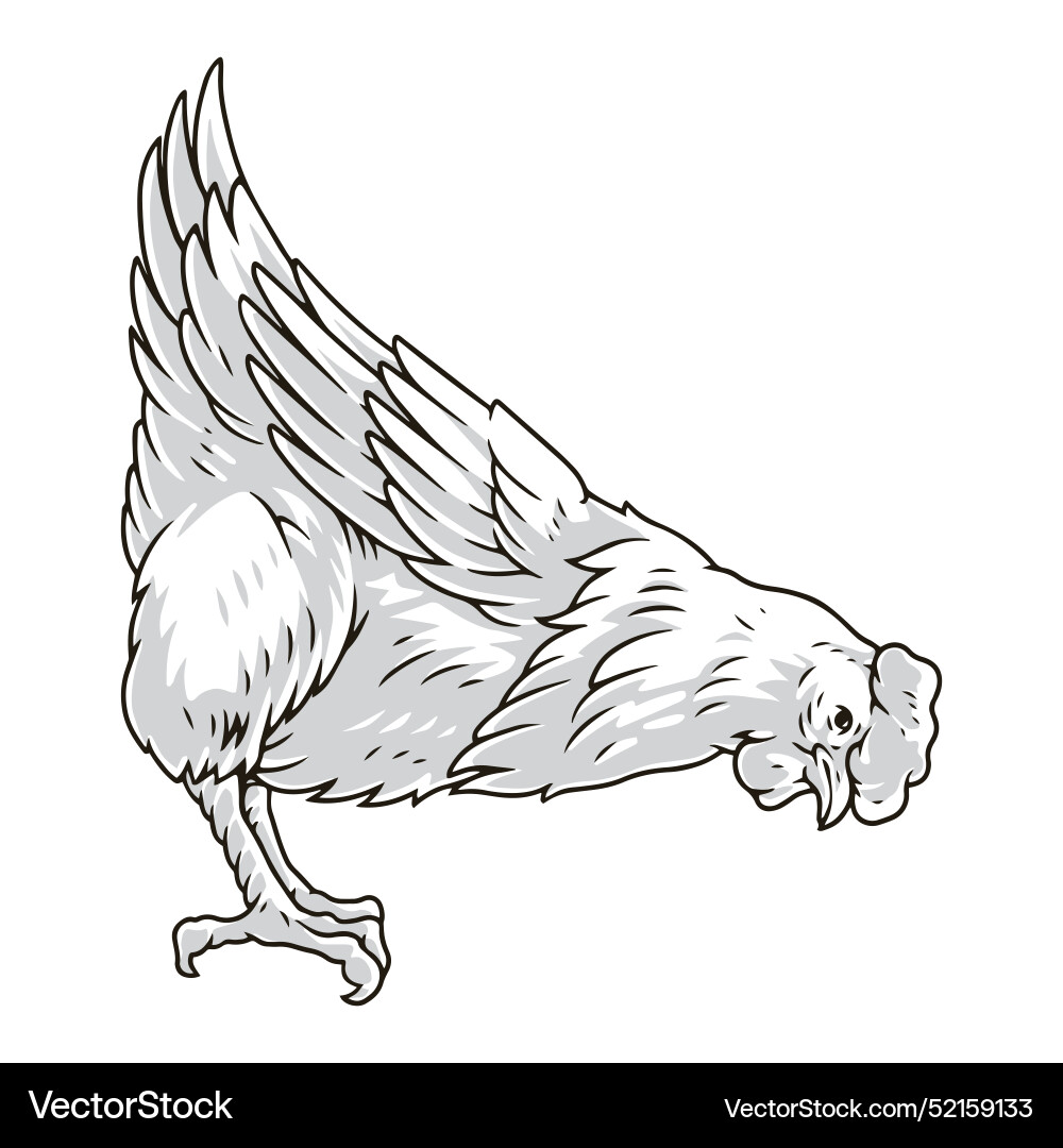 Live chicken detailed logotype monochrome Live chicken detailed logotype monochrome vector image