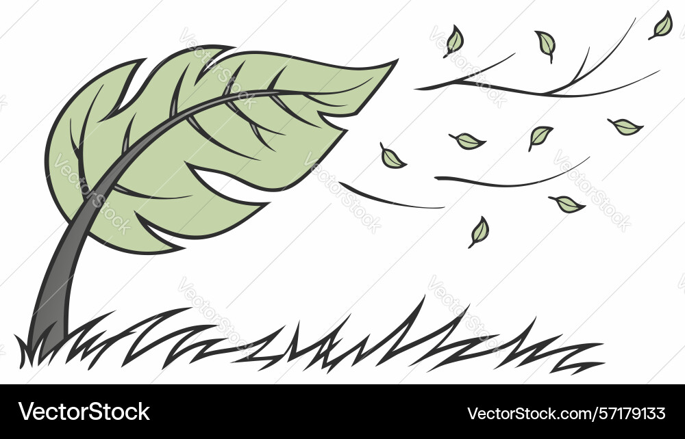Wind swept leaf with dynamic motion lines design vector image