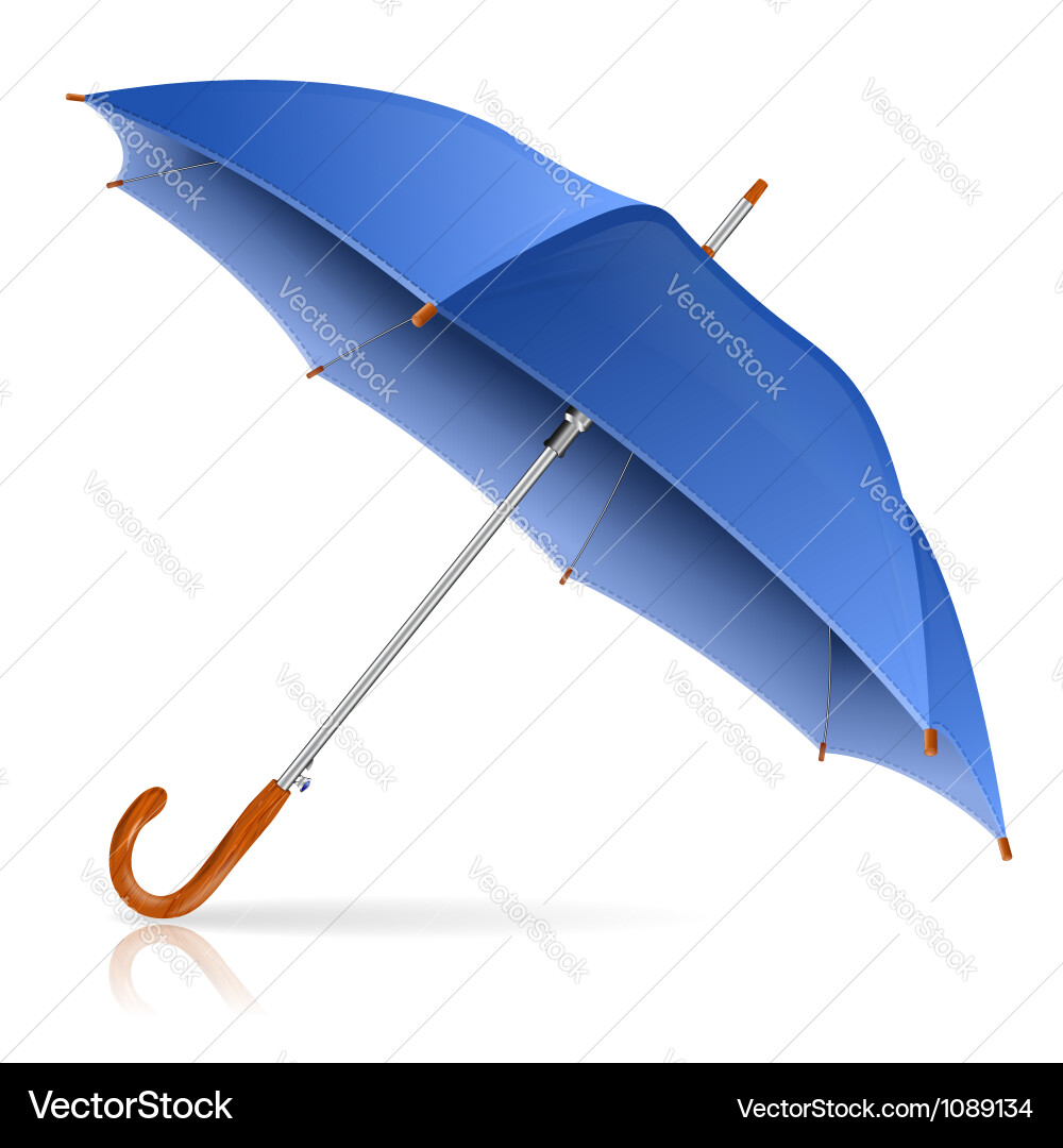 Blue umbrella Royalty Free Vector Image - VectorStock