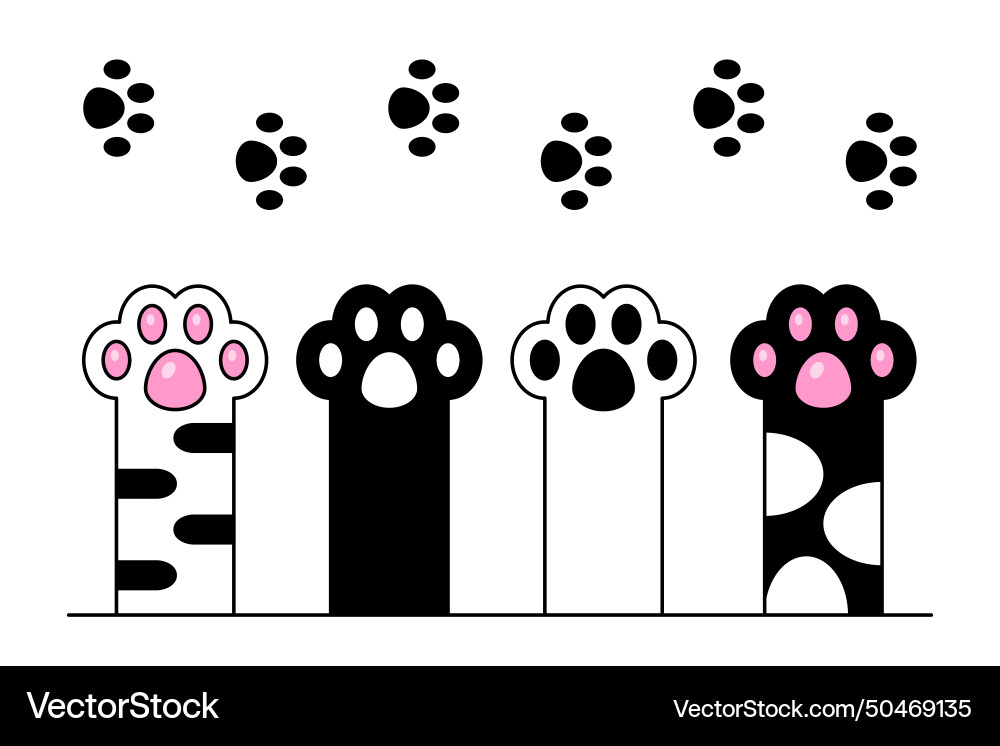 Cute Cat Paw Print vector image