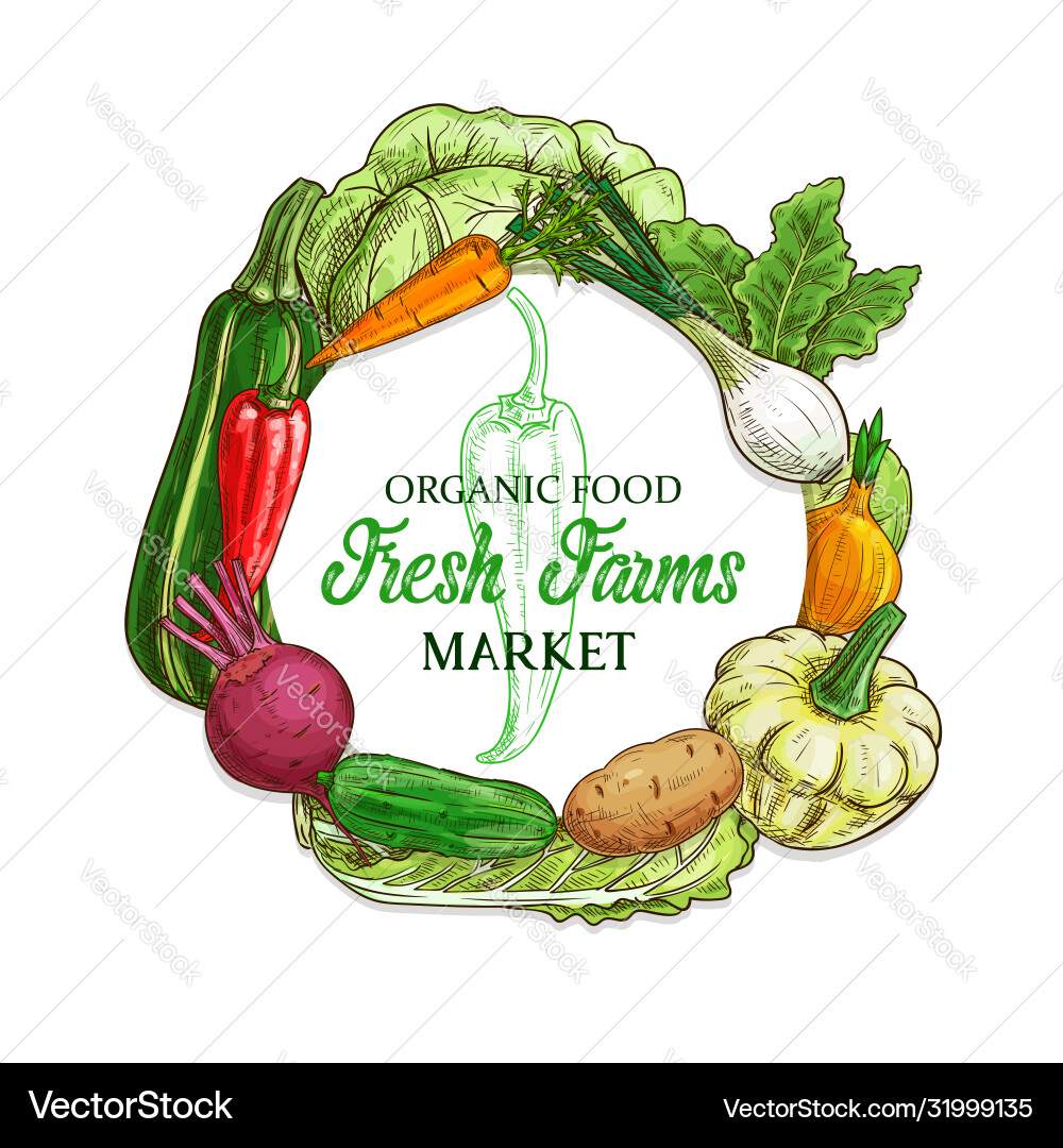 Farm vegetables and veggies sketch food Farm vegetables and veggies sketch food vector image