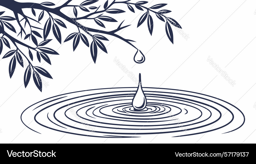 Raindrop creating ripples from tree branch design vector image