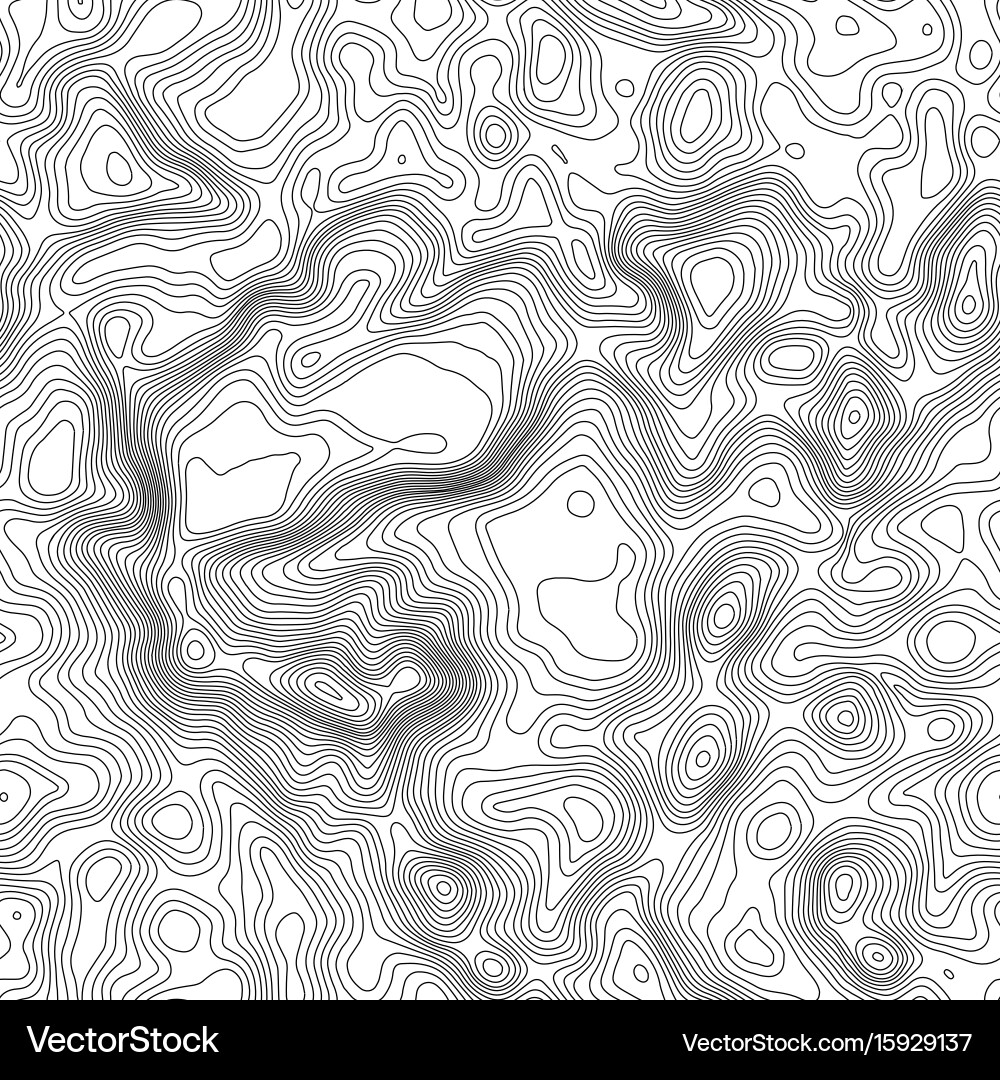 Seamless pattern topographic map background vector image