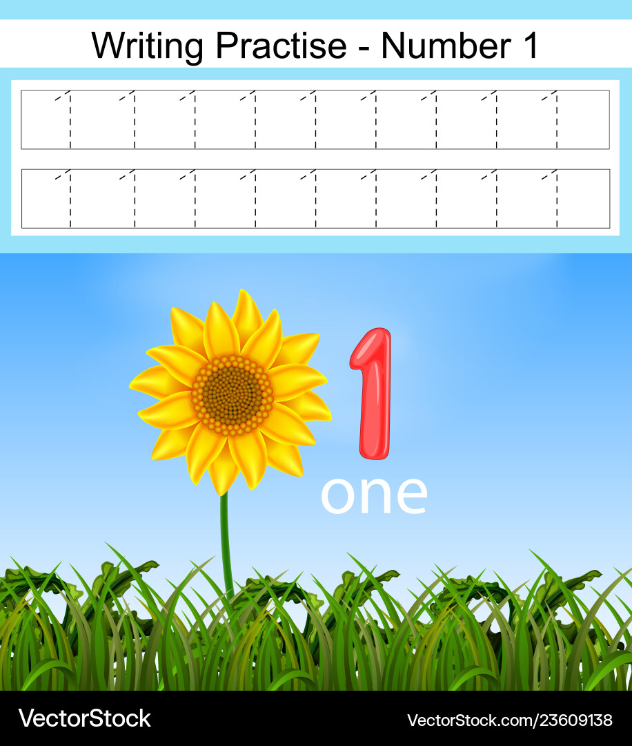 Writing practices number 1 with the big sunflower Writing practices number 1 with the big sunflower vector image