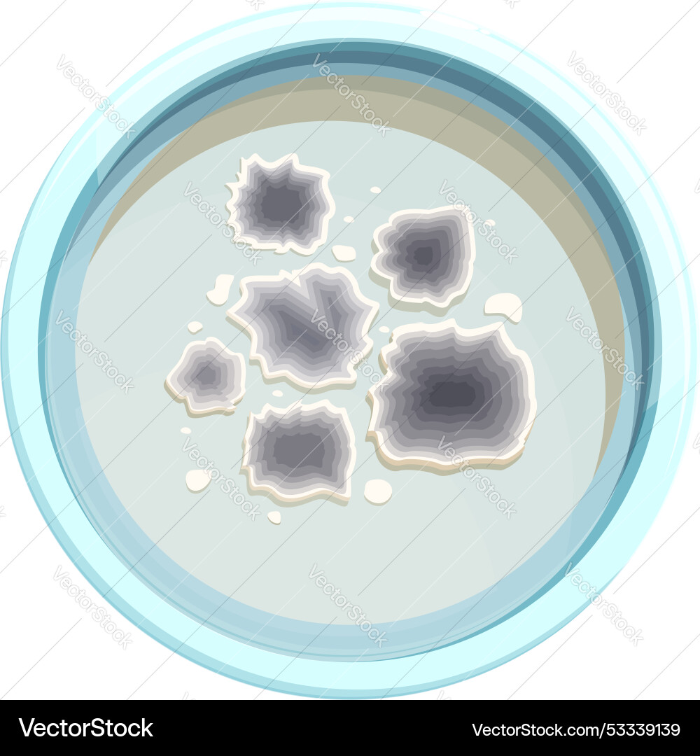 Petri dish with colonies of bacteria growing Petri dish with colonies of bacteria growing vector image