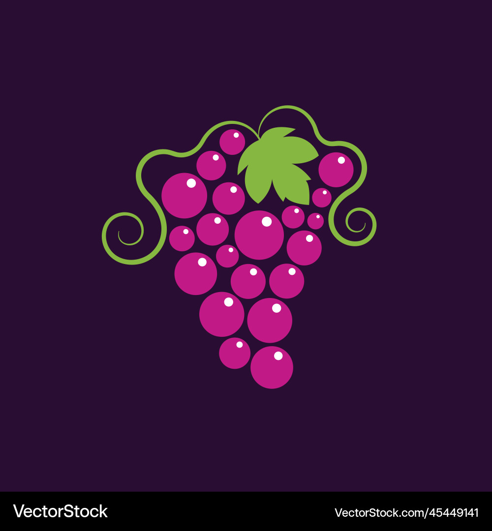Grapevine with leaf grapes icon grape Grapevine with leaf grapes icon grape vector image