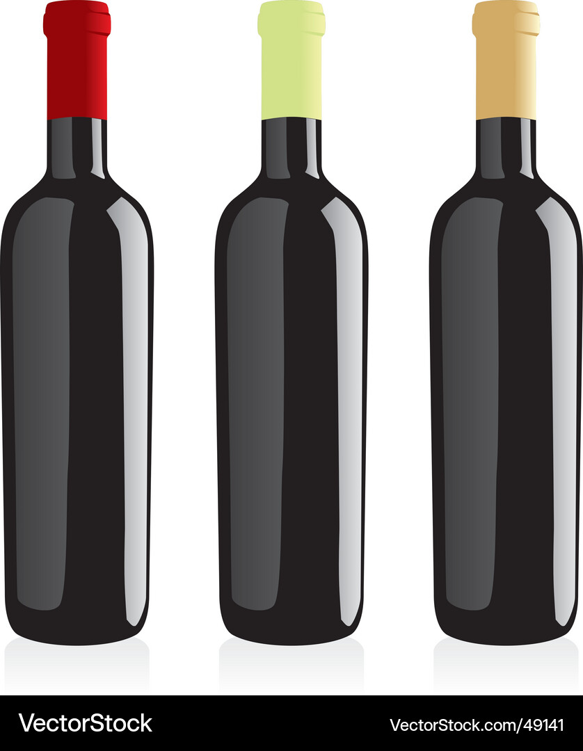 Three Wine Bottles Vector Image