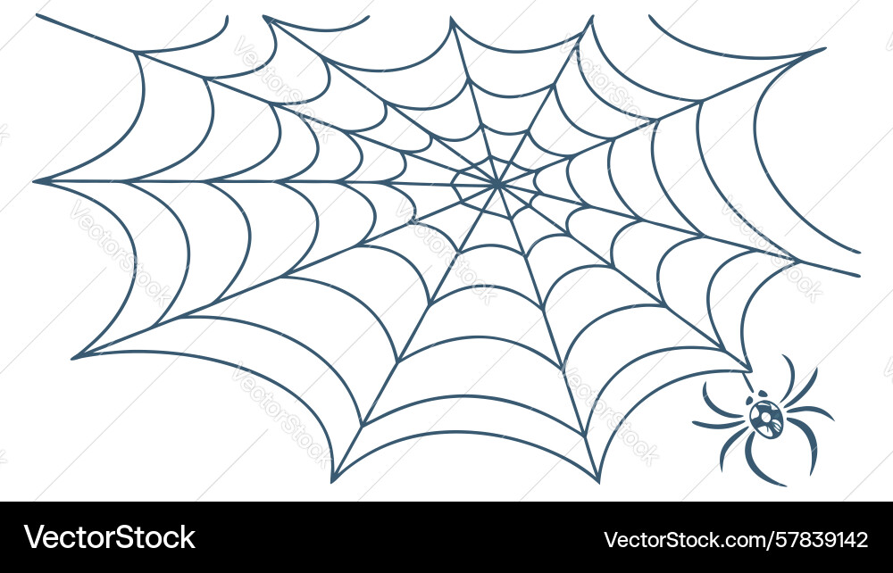 Minimalist spider web corner element design vector image