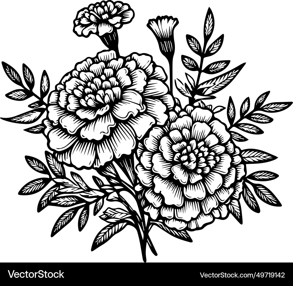 October marigold flower tattoo drawing – Royalty-Free Vector | VectorStock, image size:1000x974