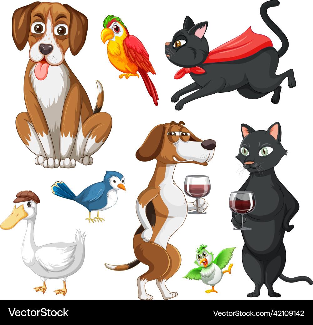 Set of different domestic animals on white Set of different domestic animals on white vector image