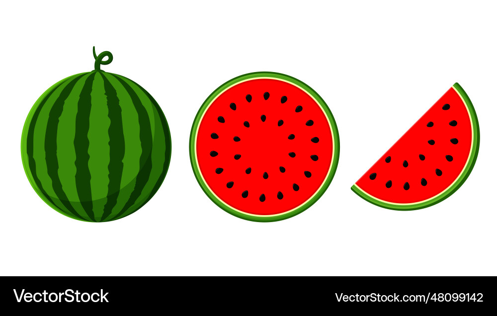 Wassermelone mit rotem Fleisch wird halbiert Wassermelone mit rotem Fleisch wird halbiert vektorbild