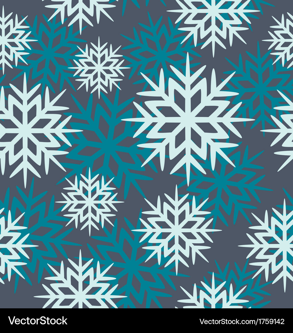 Winter Snowflake Pattern Vector Image