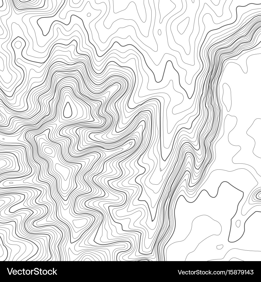 Topographic map background with space for copy vector image