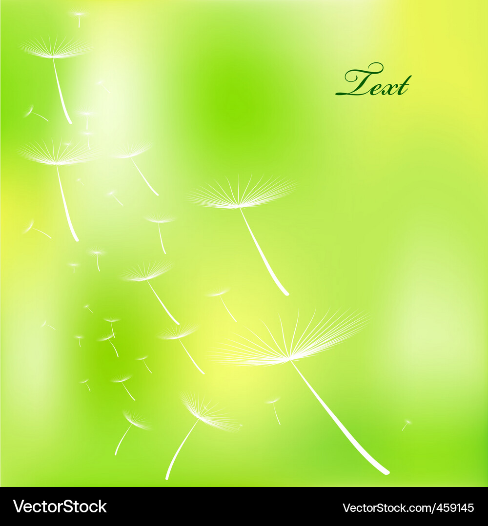 Dandelion Field Backdrop Vector Image