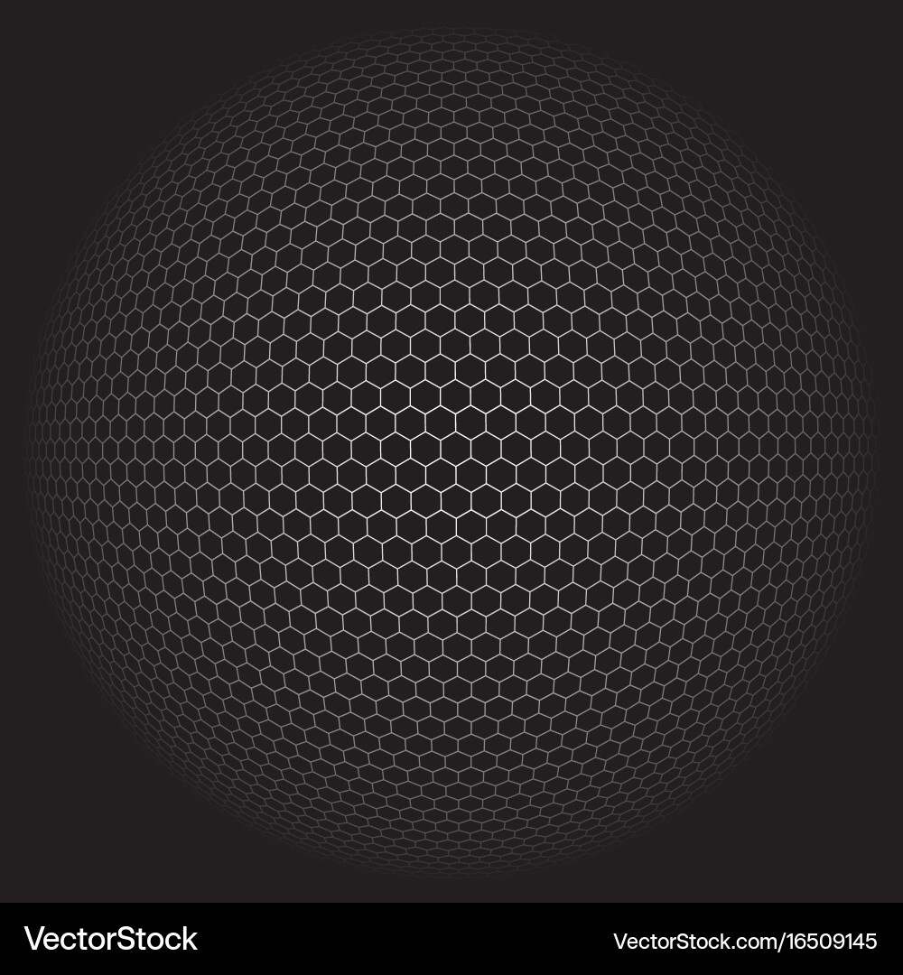 Geometric Globe with Hexagonal Signs Vector Image