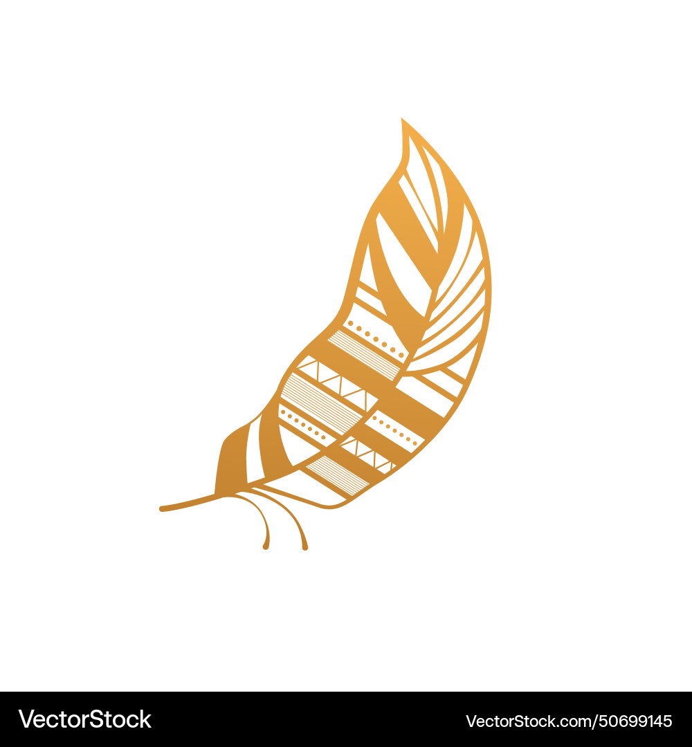 Gold feather with different pattern and native vector image