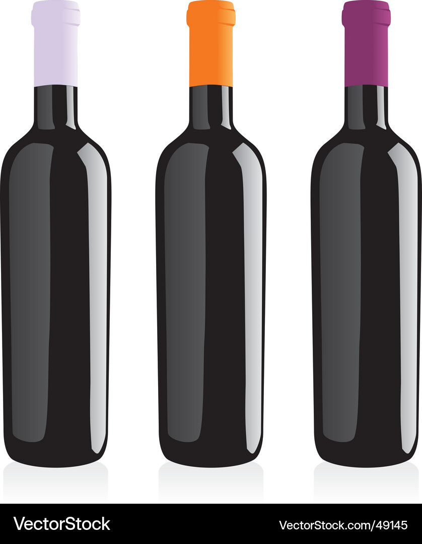 Wine bottles set Vector Image