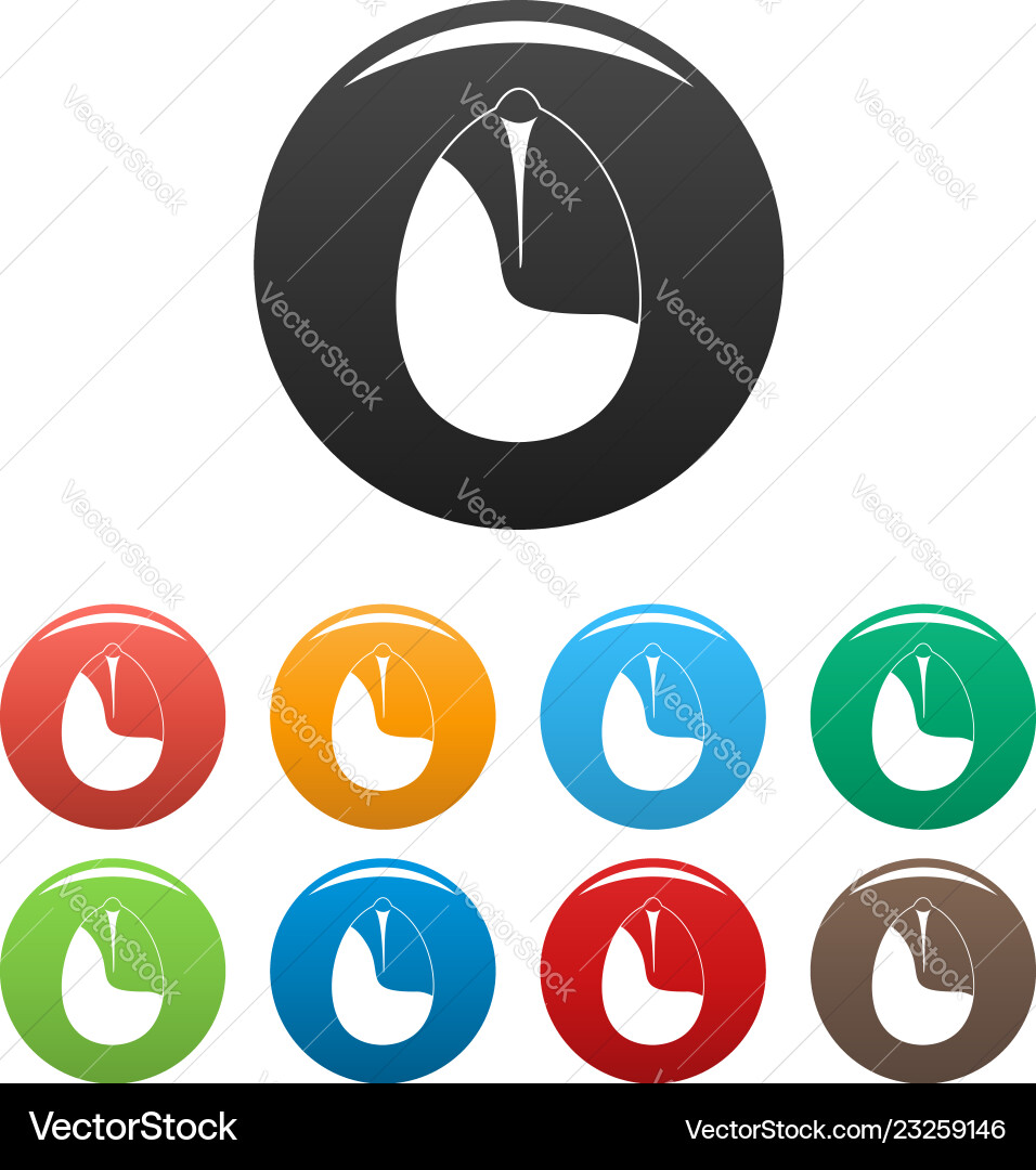 Nut icons set color Nut icons set color vector image
