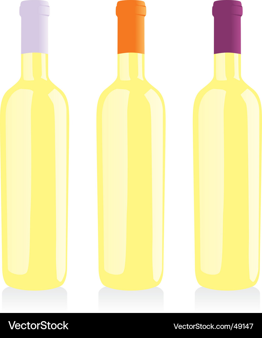 Wine bottles set Vector Image