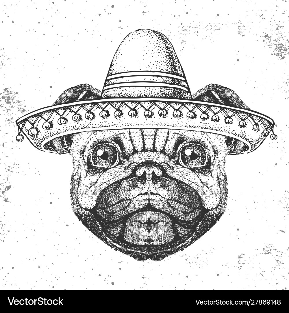 Hipster Tier-Pug-dog mit einem Sombrero-Hut Hipster Tier-Pug-dog mit einem Sombrero-Hut vektorbild