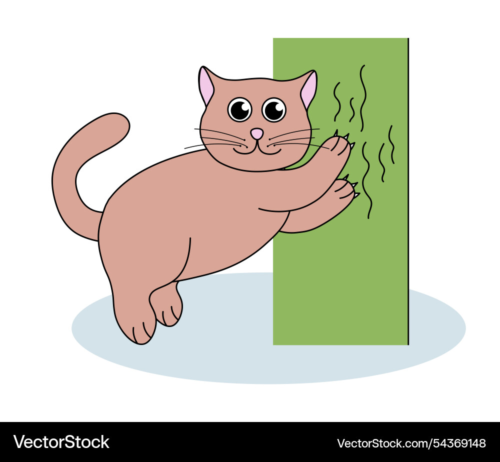 Problem with cat behavior kitten scratches wall Vector Image