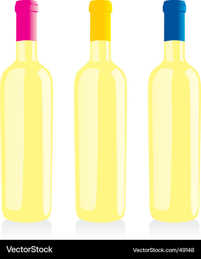 Wine bottles set Vector Image