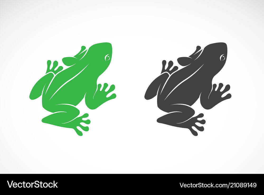Frogs Design auf weißem Hintergrund amphibi Frogs Design auf weißem Hintergrund amphibi vektorbild