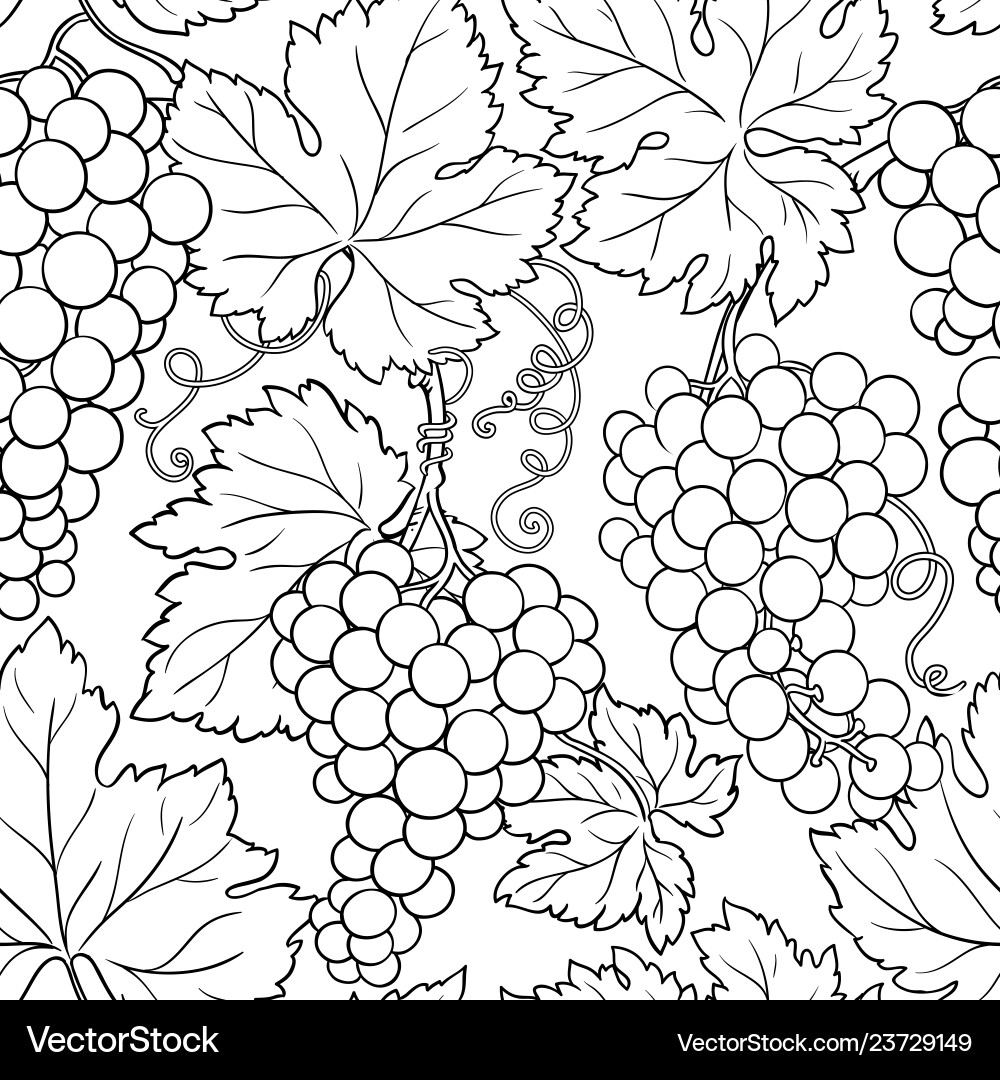 Grapes Branch Pattern Vector Image