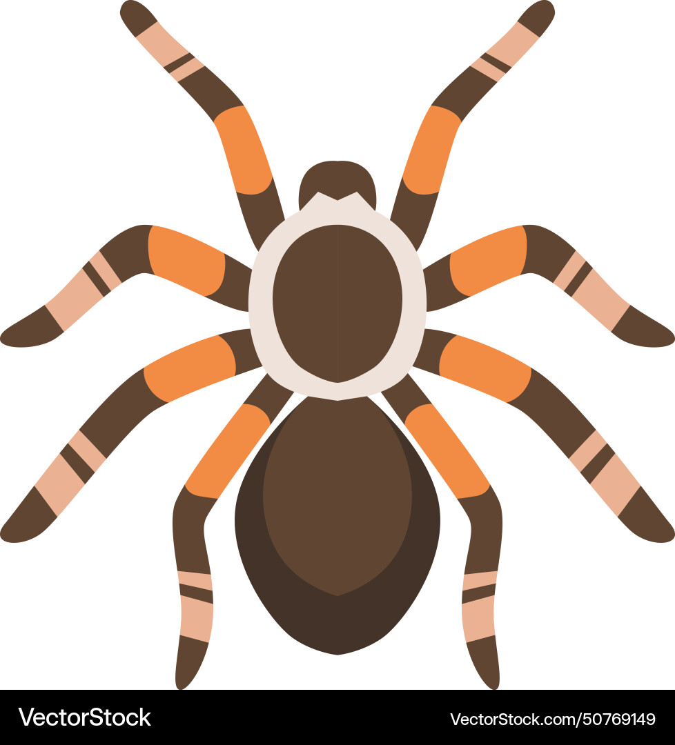 Spider exotische Tier Tier arachenid Cartoon Ikone Spider exotische Tier Tier arachenid Cartoon Ikone vektorbild