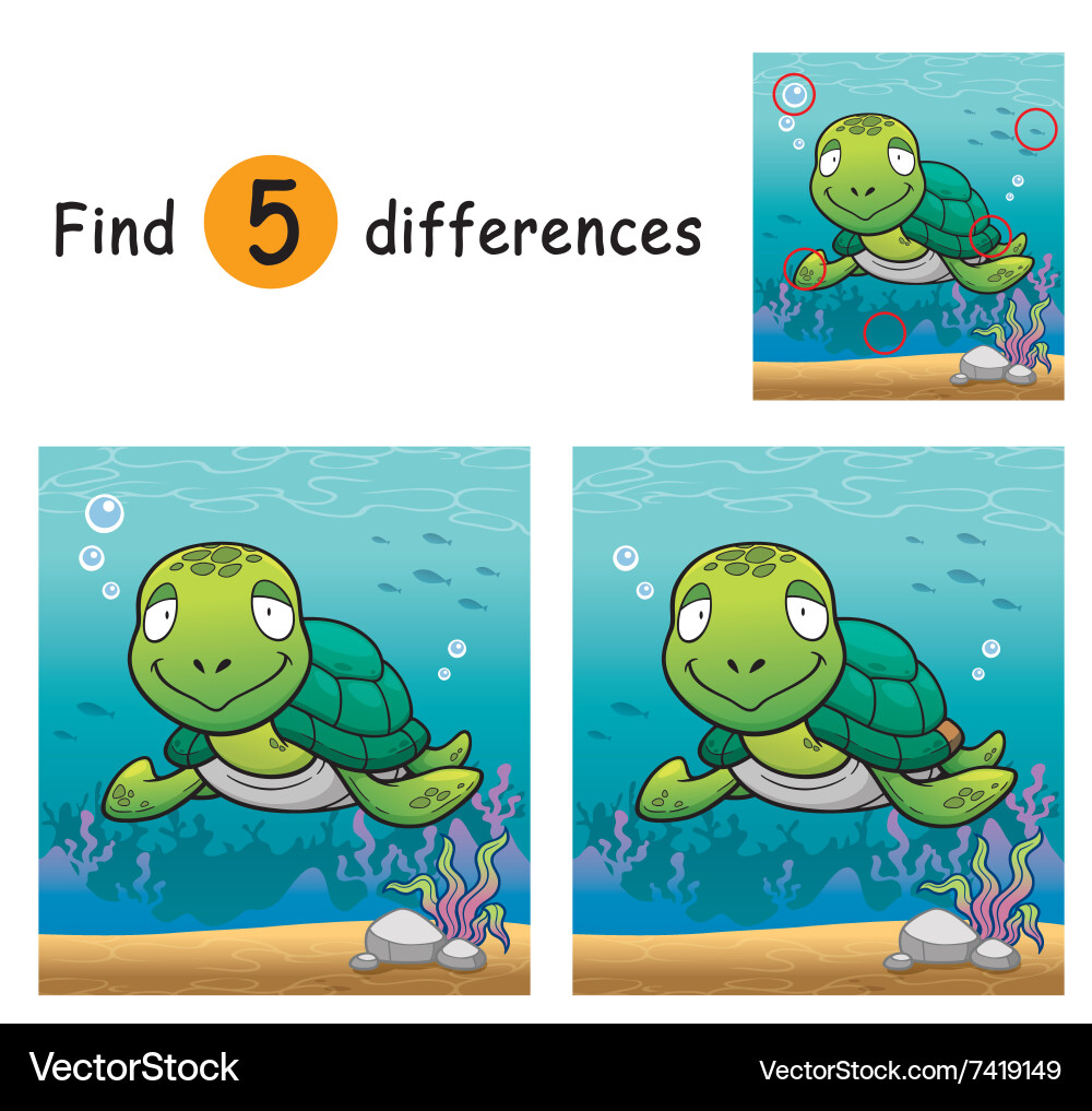 Turtle Find Differences Game Vector Image