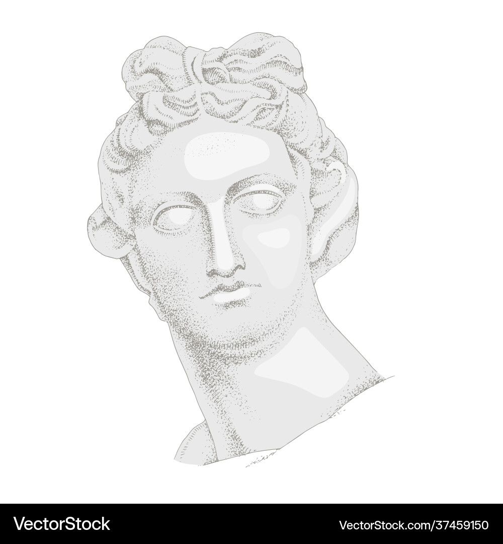 Ancient Apollo Bust - Single Line Art Vector Image