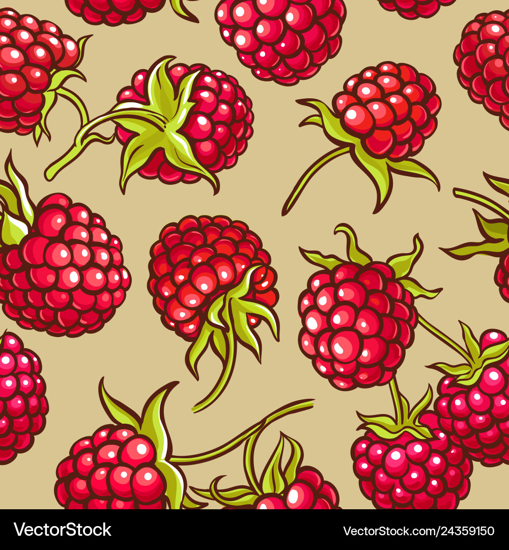 Raspberry berries pattern vector image