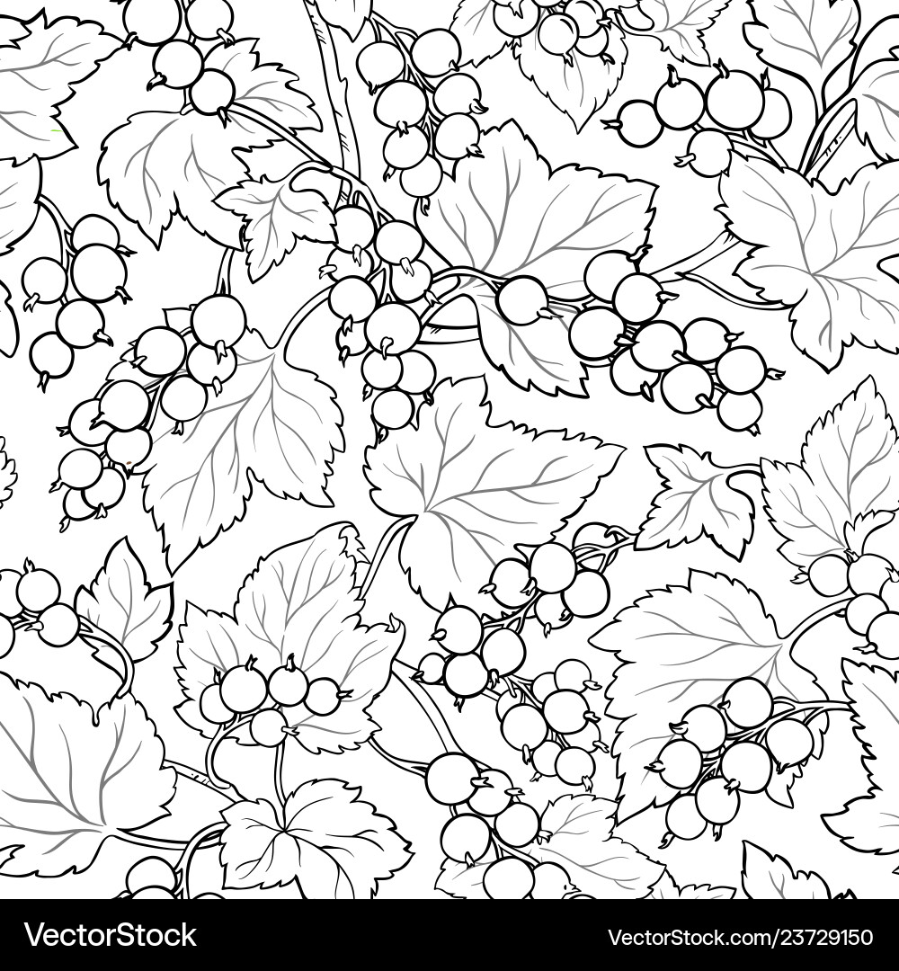 Red currant pattern on white background vector image