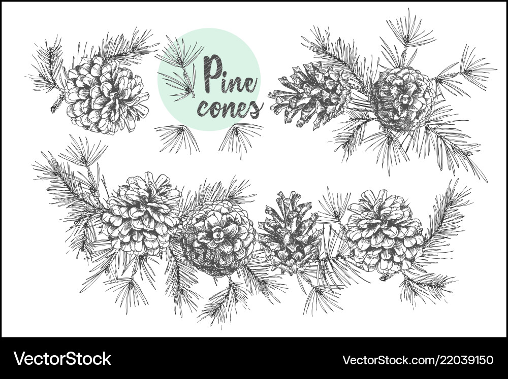 Set card template with pattern realistic botanical Set card template with pattern realistic botanical vector image