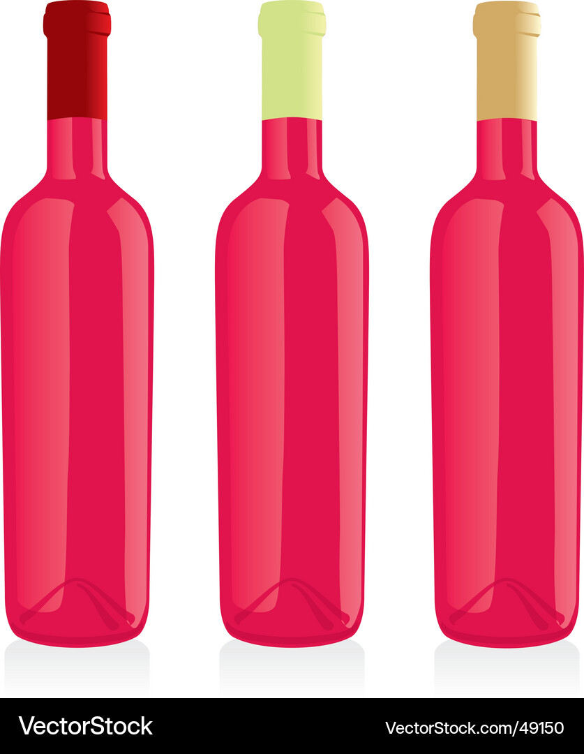 Wine bottles set Vector Image