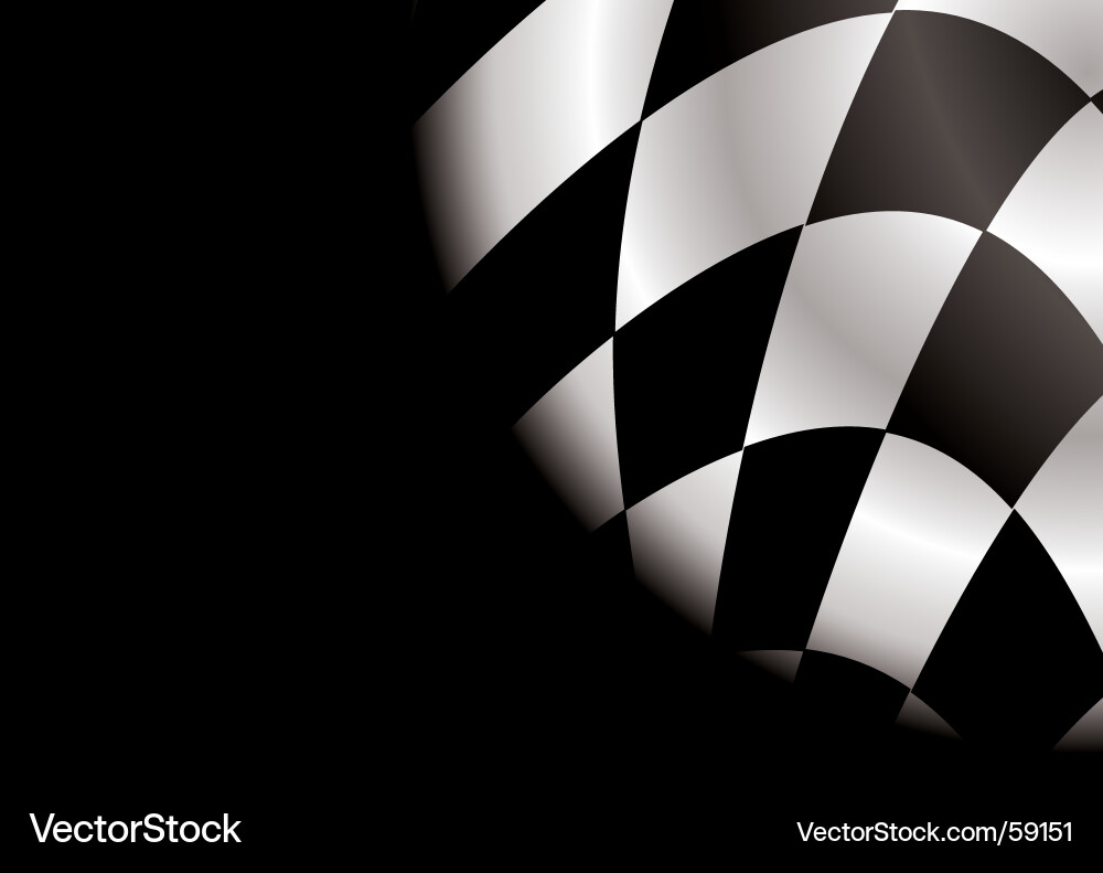 Checkerboard Flag Pattern vector image