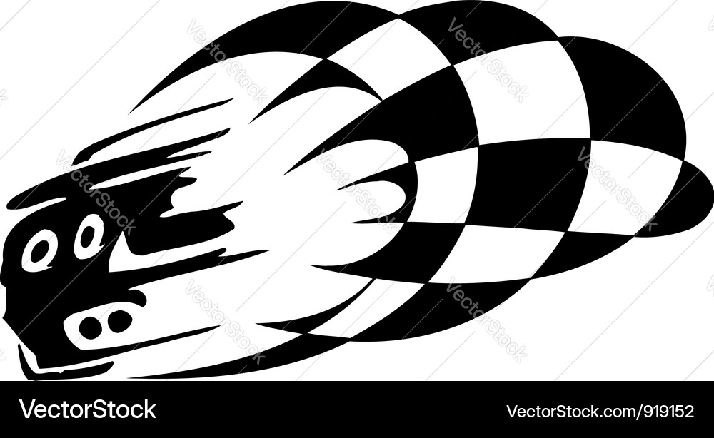 Racing Checkered Flag Vector Image
