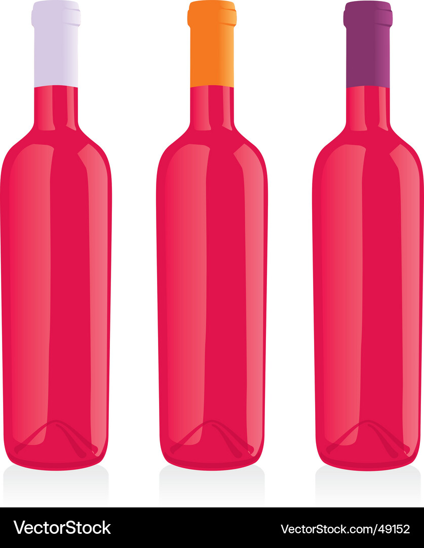 Wine bottles set Vector Image