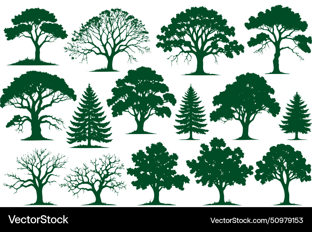 A collection trees in various sizes and shapes A collection trees in various sizes and shapes Vector Image