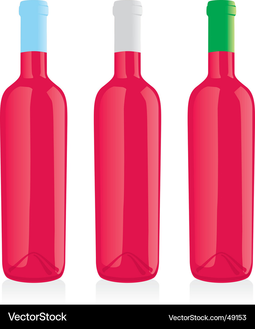 Wine bottles set Vector Image