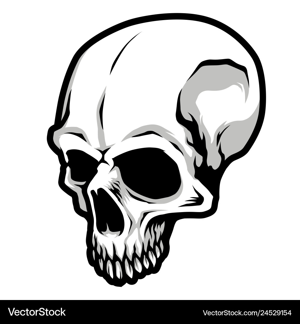 Detailed Classic Skull Head Vector Image