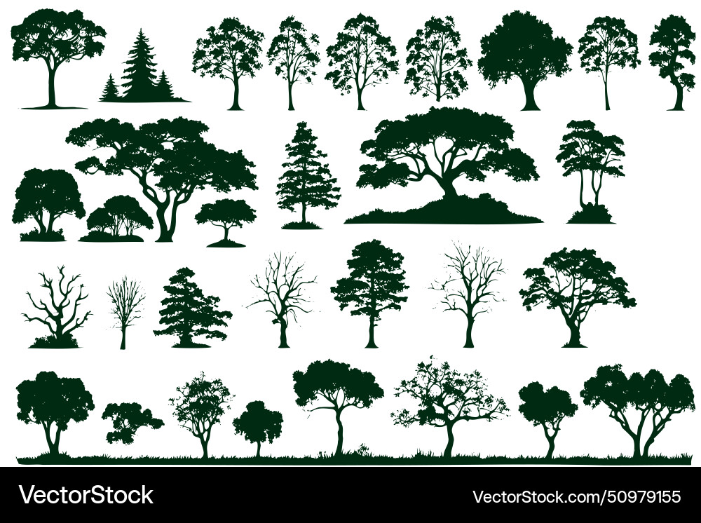 A collection trees in various sizes and shapes A collection trees in various sizes and shapes Vector Image