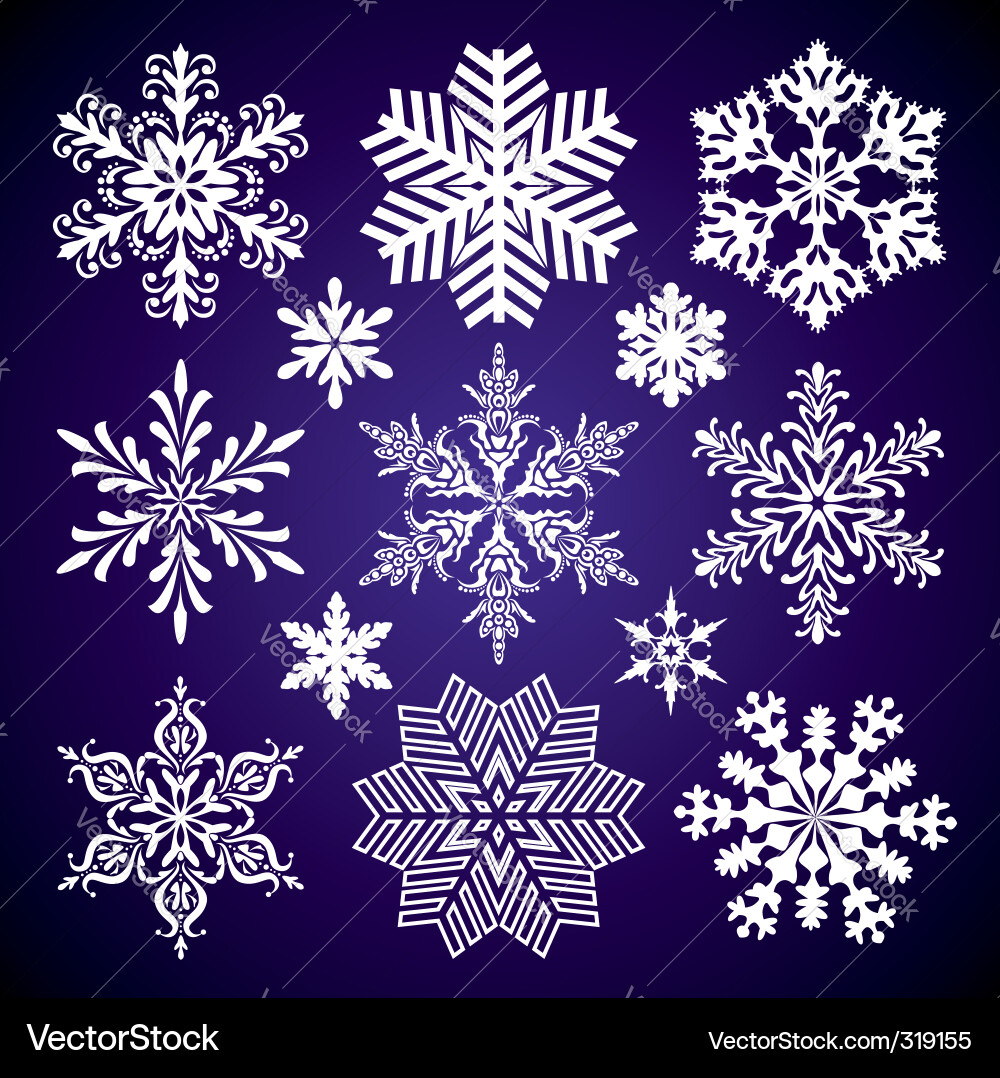 Elegant Snowflake Collection vector image
