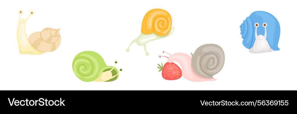 Snail funny character with spiral shell set Snail funny character with spiral shell set Vector Image