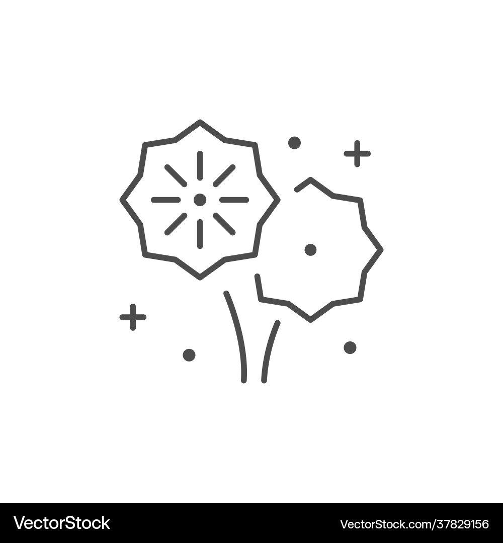 Feuerwerk Burstline Kontur Symbol Vektorbild