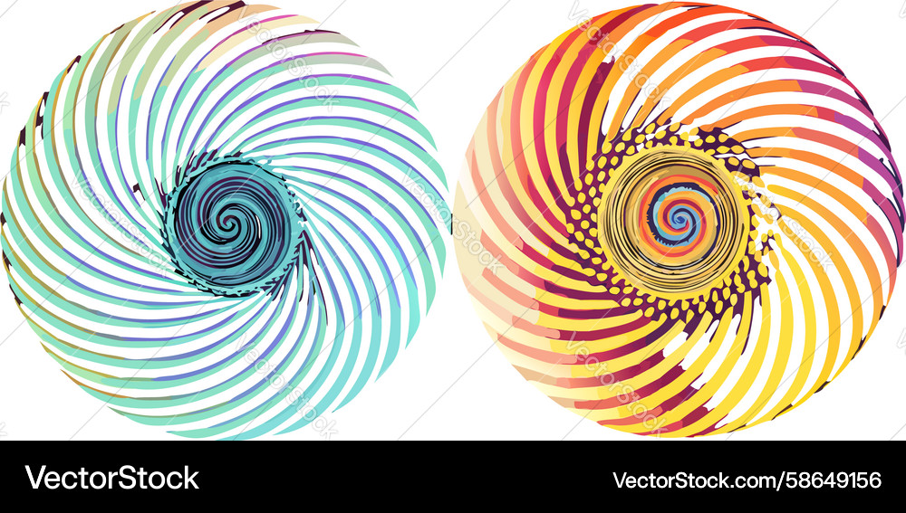 Interconnected double spiral pattern abstract Vector Image