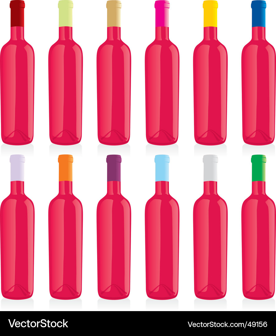 Wine bottles set Vector Image